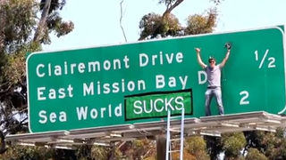 Watch This Documentary And Remember Why SeaWorld Sucks